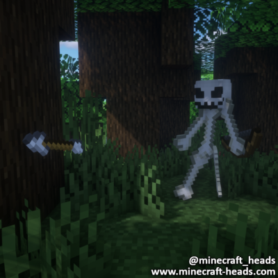 107-skeleton