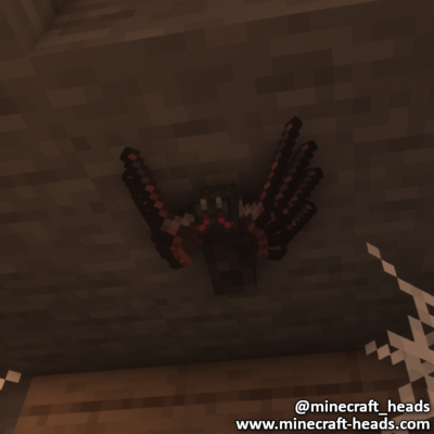 363-black-spider-ceiling