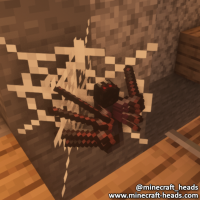 364-black-spider-wall-1