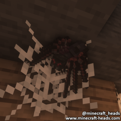 368-black-spider-wall-5