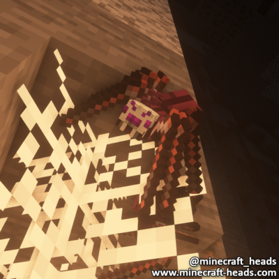 377-purple-spider-wall-5