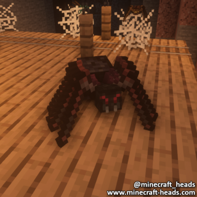398-big-black-spider-ground