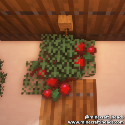 497-mistletoe-ii