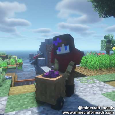819-girl-collecting-grapes