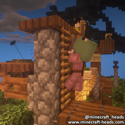 837-child-on-ladder