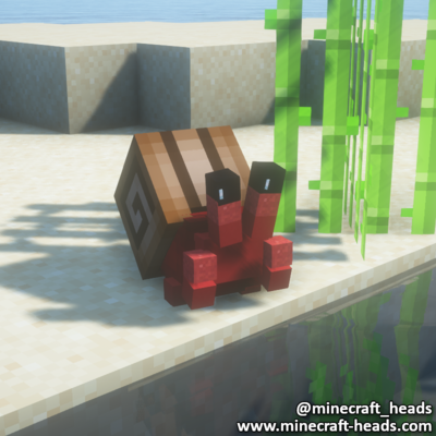 1775-red-crab-brown-shell