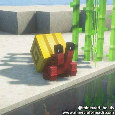 1776-red-crab-yellow-shell
