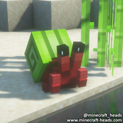 1780-red-crab-lime-shell