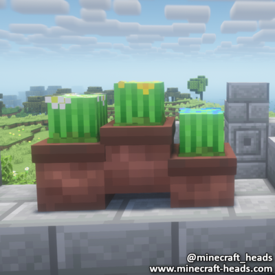 1911-vallmo-flowerbox