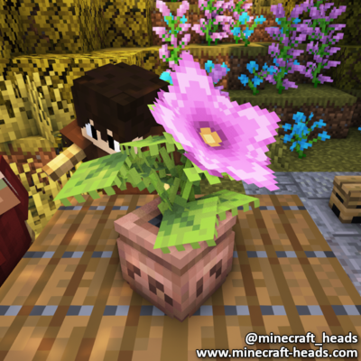 1916-flowerpot-xxvi