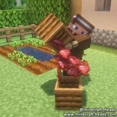 2014-man-transporting-beets