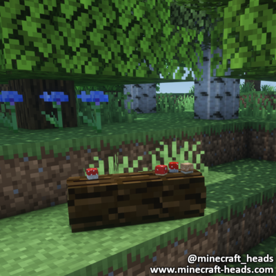 2027-wooden-log-with-mushrooms