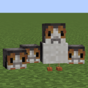 255-group-of-porgs