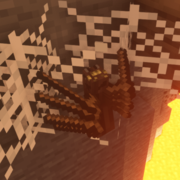 391-brown-spider-wall-1