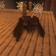 398-big-black-spider-ground