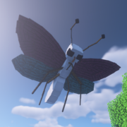 623-butterfly