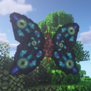 624-butterfly-ii