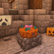 849-pumpkin-pie