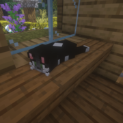 1441-cat-ii