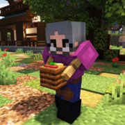 1522-old-lady-with-groceries