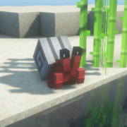 1773-red-crab-lgray-shell