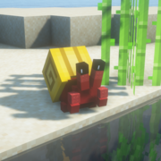 1776-red-crab-yellow-shell