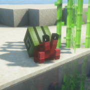 1779-red-crab-green-shell