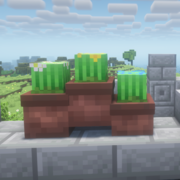 1911-vallmo-flowerbox