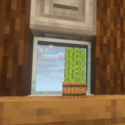 1913-vallmo-cactus-ii