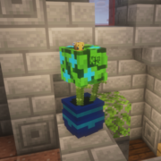 1915-vallmo-potted-plant