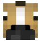 2D Render Front