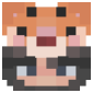 2D Render Front