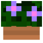 2D Render Front
