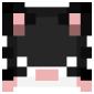 2D Render Front