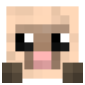 2D Render Front