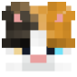 2D Render Front