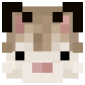 2D Render Front