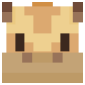 2D Render Front
