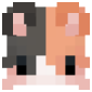 2D Render Front