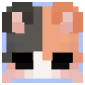2D Render Front