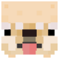 2D Render Front