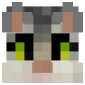 2D Render Front