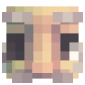 2D Render Front
