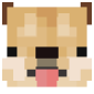 2D Render Front