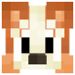 2D Render Front