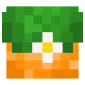 2D Render Front