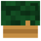 2D Render Front