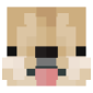2D Render Front