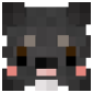 2D Render Front