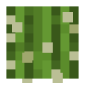 2D Render Front